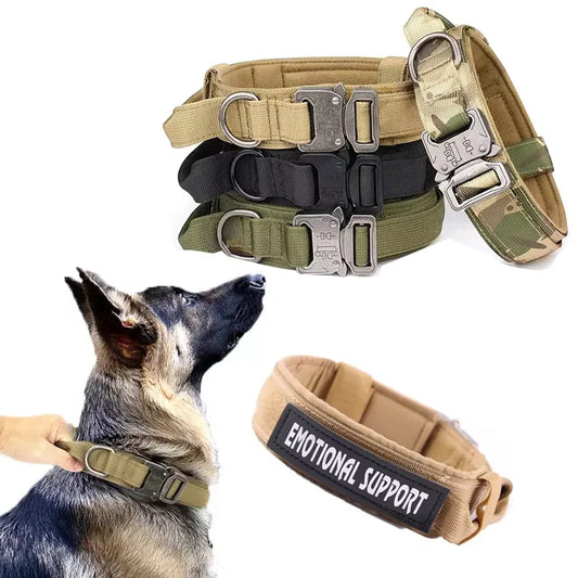 Collier tactique pour chien domestique, militaire, ou de police