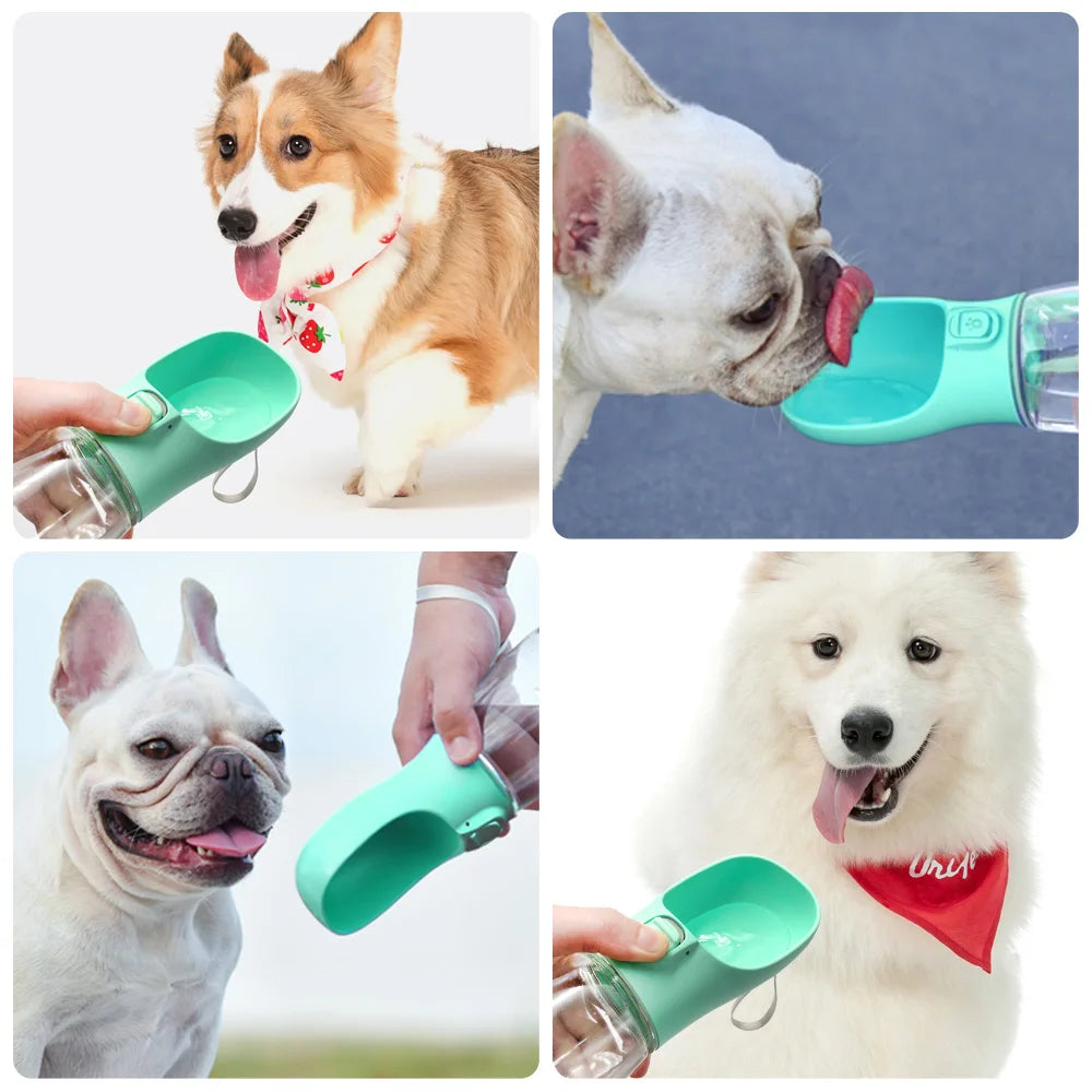 Bouteille d'eau portable pour chien et chat